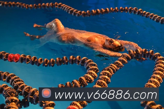 V66体育全站App V66体育全站App